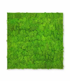 Wandpaneel MODULAR WALL