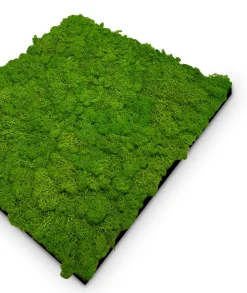 Wandpaneel MODULAR WALL