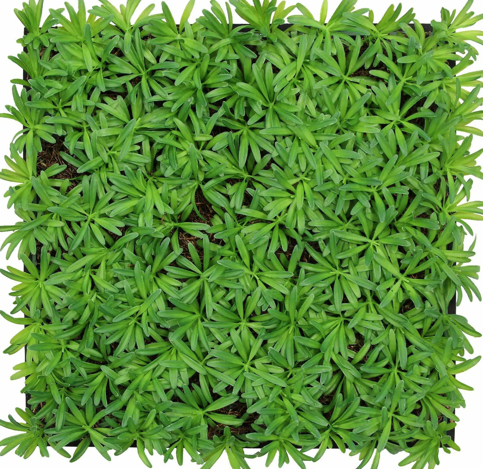 Wandpaneel MODULAR WALL