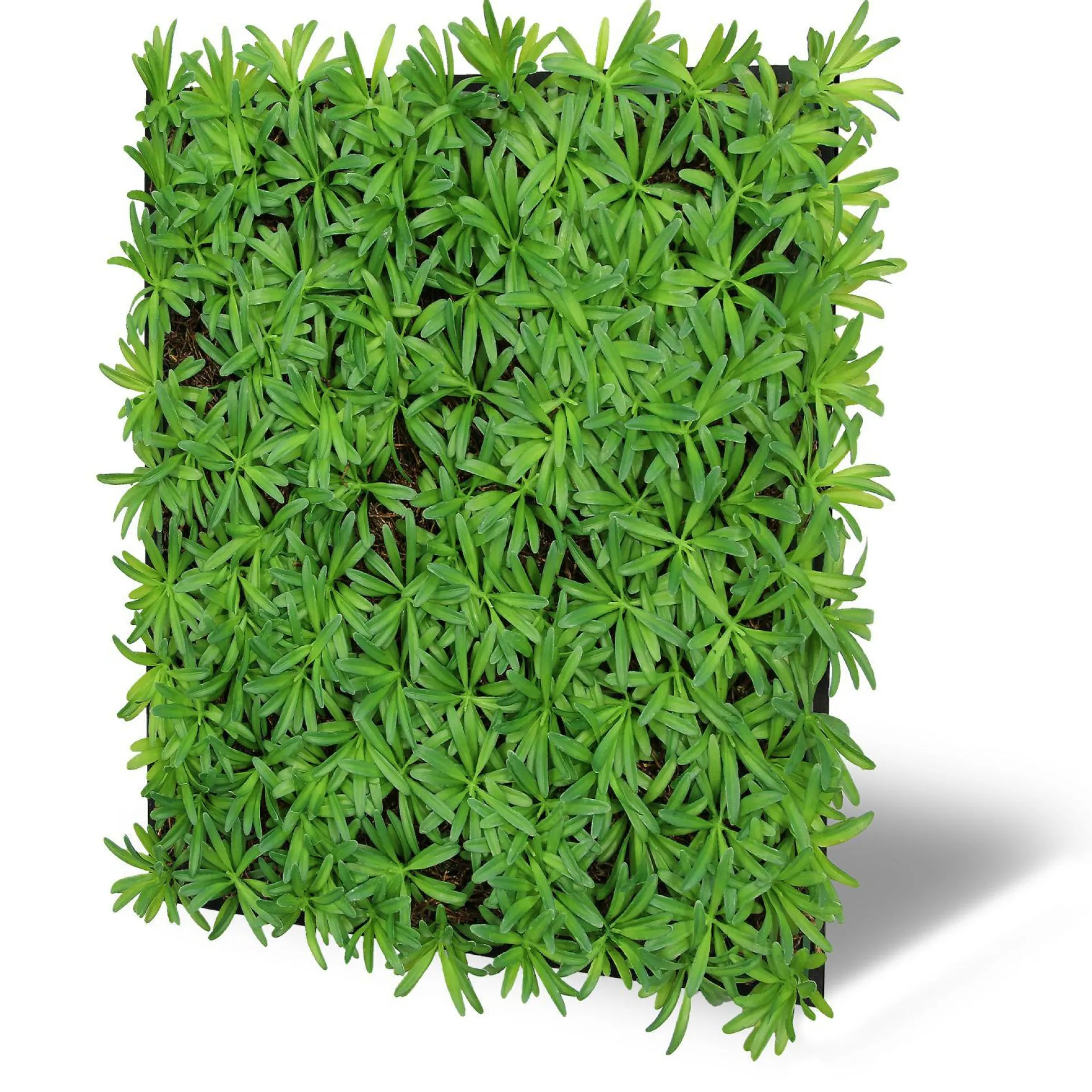 Wandpaneel MODULAR WALL