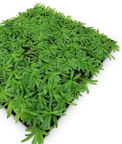 Wandpaneel MODULAR WALL