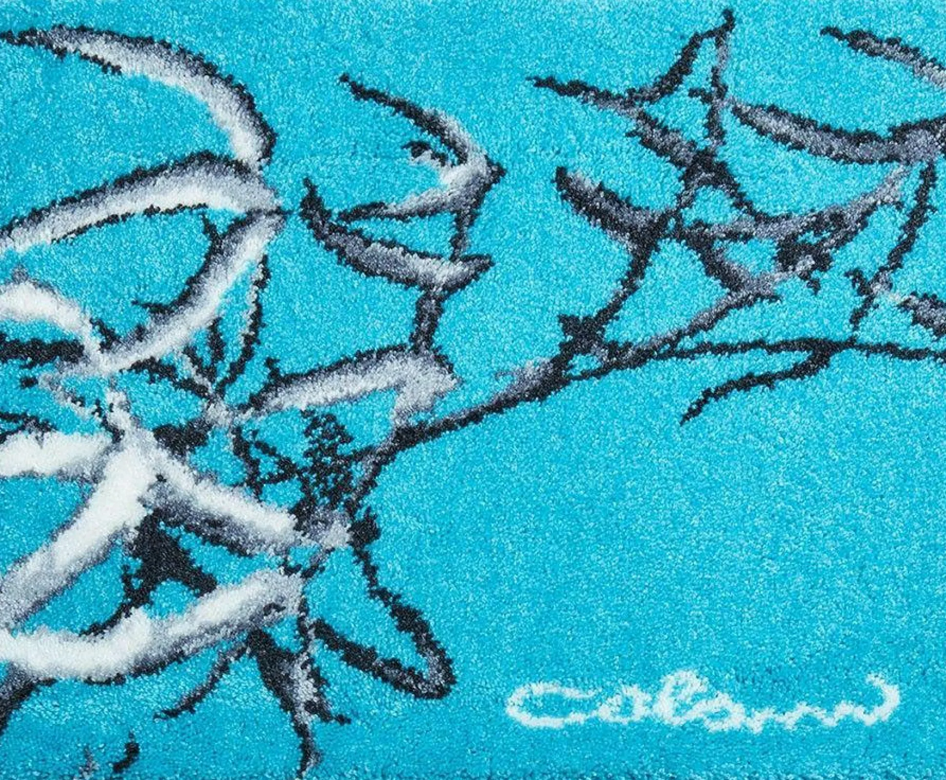 WC-Vorlage Colani 23