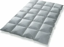 Winterbett sanders DREAMCATCHER